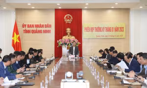 UBND tỉnh họp thường kỳ tháng 1/2023