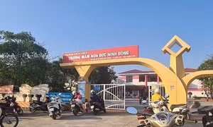 Nữ hiệu trưởng ở Đồng Hới bị cách hết chức vụ trong Đảng