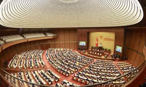 UBTVQH: Tán thành Hội đồng Y khoa quốc gia do Thủ tướng thành lập