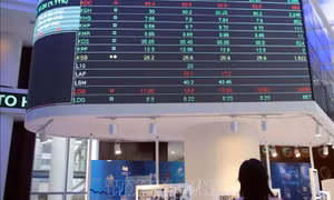 Chứng khoán phiên đầu năm Quý Mão 2023 ngập sắc xanh