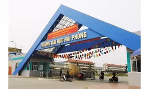 Kỷ luật cảnh cáo giảng viên bị tố "gạ tình" nữ sinh viên Đại học Hải Phòng
