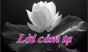 Lời cảm tạ