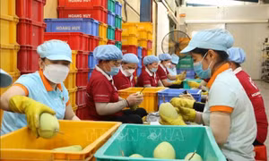 Tăng cường đưa hàng nông sản Việt Nam tới người tiêu dùng Singapore