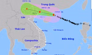 Tăng cường chỉ đạo phòng, chống, ứng phó với cơn bão số 1 trên địa bàn tỉnh