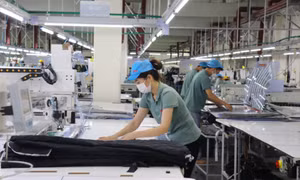 Vững tin năm thứ 8 liên tiếp tăng trưởng 2 con số