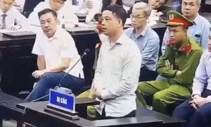 Những ai bị đề nghị điều tra trong giai đoạn hai vụ án “chuyến bay giải cứu”?