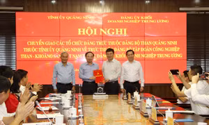 Hội nghị chuyển giao các tổ chức đảng trực thuộc Đảng bộ Than Quảng Ninh về Đảng bộ TKV