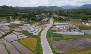 Xây dựng nông thôn mới ngày càng thực chất, hiệu quả