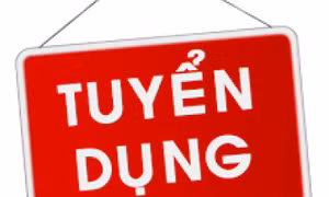 Viễn thông Quảng Ninh thông báo tuyển dụng