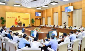 Ủy ban Thường vụ Quốc hội chuẩn bị cho ý kiến về dự án Luật Trật tự, an toàn giao thông đường bộ