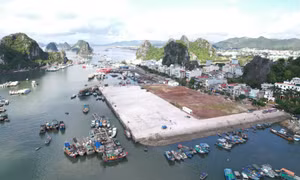 Để ngư dân có nơi neo đậu tàu, thuyền an toàn