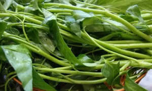 Những trường hợp nào không nên ăn rau muống