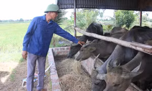 Quảng Yên: Nâng cao chất lượng đời sống nhân dân