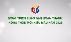 Đông Triều phấn đấu hoàn thành nông thôn mới kiểu mẫu năm 2023