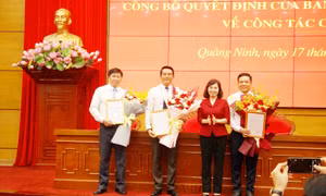 Hội nghị công bố quyết định về công tác cán bộ