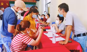 TP Hạ Long: Nỗ lực thực hiện chủ đề công tác năm