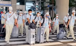 Thu hồi giấy phép 4 doanh nghiệp đưa người đi xuất khẩu lao động