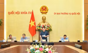 Thực hiện tốt chức năng giám sát của Quốc hội đối với công tác tổ chức thi hành pháp luật