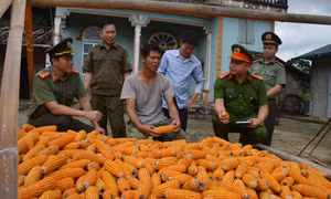 Công an Hải Hà: Giữ vững an ninh biên giới
