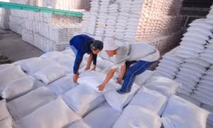 Giá gạo Việt tăng kỷ lục trong 2 năm