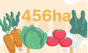 456ha - là diện tích đất chuyển đổi sang trồng hoa màu trên địa bàn tỉnh 6 tháng đầu năm