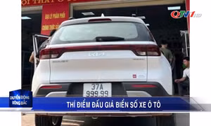 Thí điểm đấu giá biển số xe ôtô có hiệu lực từ ngày 1/7/2023