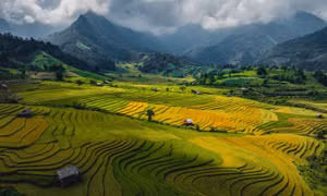Mùa vàng ở Nậm Cang
