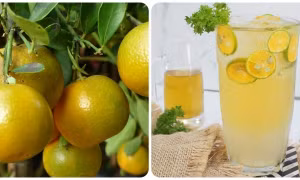 Uống nước quất có tốt không?