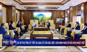 Đồng chí Bí thư Tỉnh ủy tiếp xã giao Cố vấn đặc biệt Liên minh Nghị sĩ hữu nghị Nhật - Việt