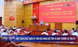 Giới thiệu nhân sự bổ sung Ban Thường vụ Tỉnh ủy, Ban Chấp hành Đảng bộ tỉnh