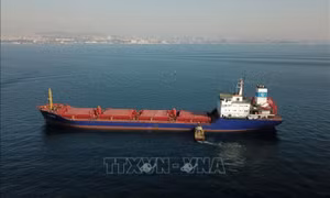 Ukraine khẳng định tiếp tục xuất khẩu ngũ cốc qua hành lang Biển Đen