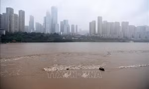 Trung Quốc: Mưa lớn làm sập cầu đường sắt tại Trùng Khánh