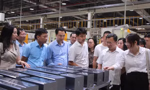 Quảng Yên giữ vững đà tăng trưởng 6 tháng đầu năm
