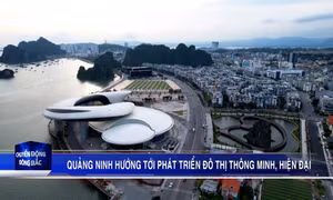 Quảng Ninh hướng tới phát triển đô thị thông minh, hiện đại