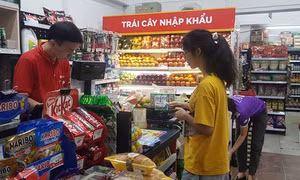 Nhu cầu suy yếu, UOB hạ dự báo GDP Việt Nam xuống còn 5,2%