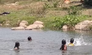 Đi chăn bò thuê, 3 học sinh tắm hồ bị đuối nước tử vong