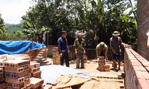 Bình Liêu: Đẩy nhanh tiến độ xóa nhà tạm, dột nát