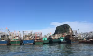 Từ 15 giờ ngày 17/7, tạm ngừng cấp phép cho phương tiện thủy ra khơi