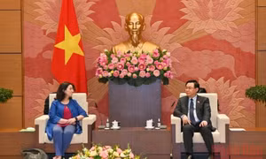 Ngân hàng Thế giới là đối tác tin cậy quan trọng của Việt Nam
