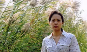 Khó tìm "nàng thơ" cho điện ảnh Việt đương đại