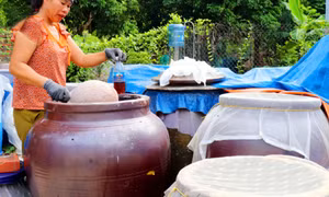 Đưa đặc sản mắm tép Ngọc Vừng thành sản phẩm OCOP