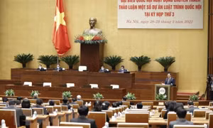 Quốc hội thảo luận về sở hữu trí tuệ, có liên quan Quốc kỳ, Quốc ca