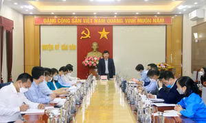 Phó Bí thư Thường trực Tỉnh ủy Ngô Hoàng Ngân làm việc tại Vân Đồn