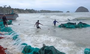Từ Quảng Ninh đến Cà Mau chủ động ứng phó với thời tiết nguy hiểm