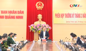 UBND tỉnh họp thường kỳ tháng 3/2022