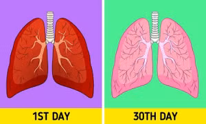 7 phương pháp thải độc phổi ngay tại nhà mà không cần dùng thuốc