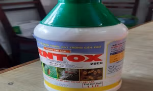 Cha pha thuốc trừ sâu vào nước ngọt cho con uống