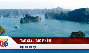 Hạ Long em đợi