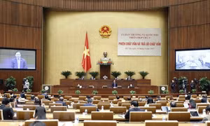 Thảo luận 4 dự án Luật để trình tại Kỳ họp thứ 3, Quốc hội khóa XV