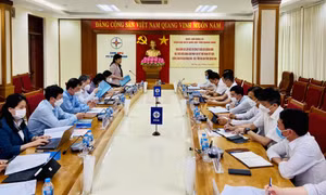 Đoàn ĐBQH tỉnh giám sát tại Công ty Điện lực Quảng Ninh